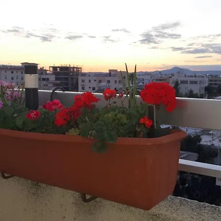 Alkaeos & Homestay szállás Lárnaka